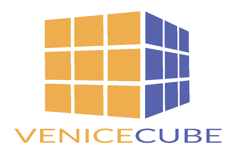 logo VENICECUBE